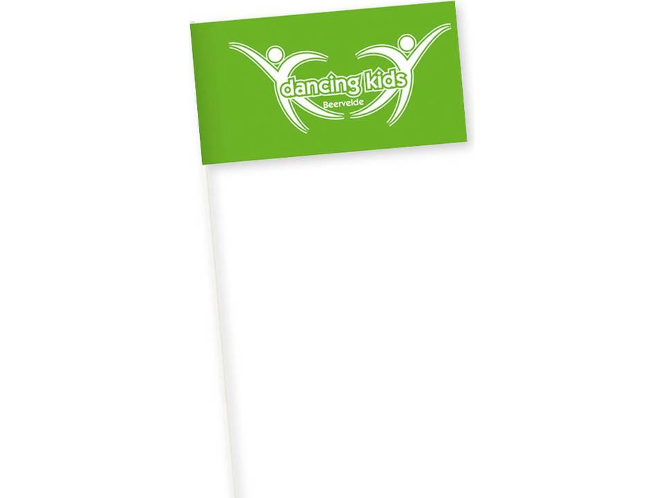 Drapeaux en papier Promo 13