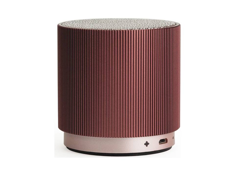 fine speaker roest