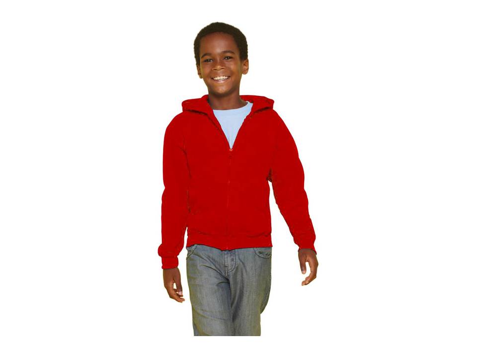 Sweat à capuche zippé grandes tailles 17