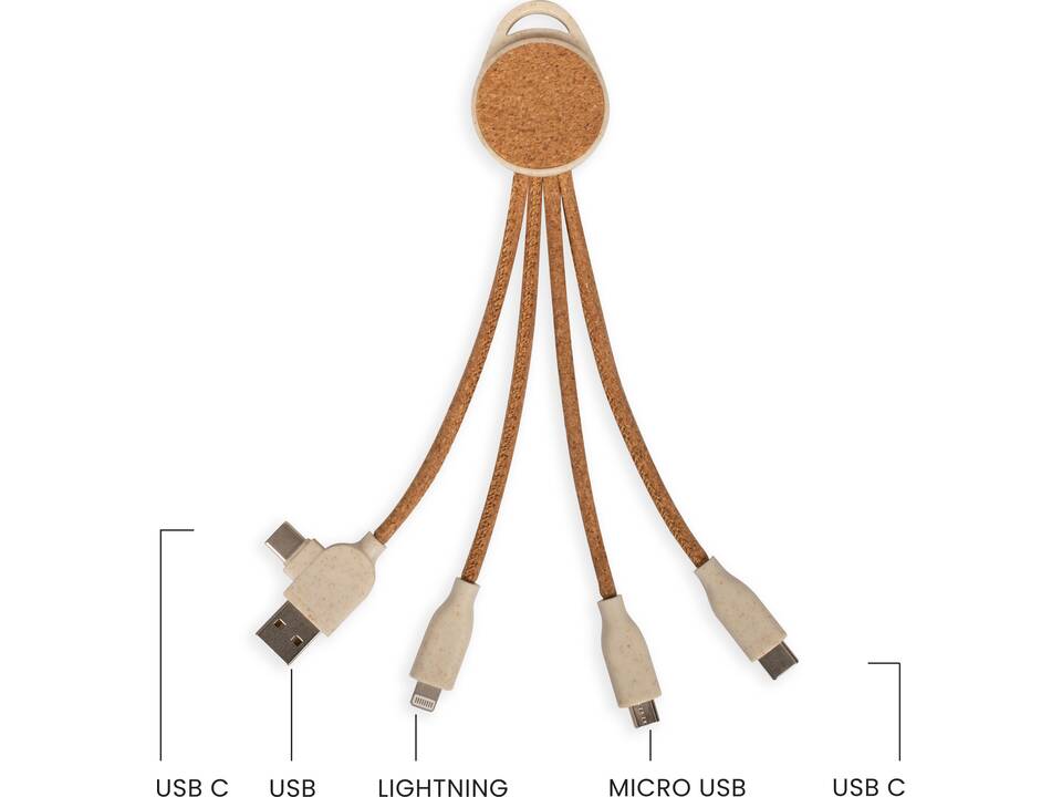 Câble de charge multi-embouts 2