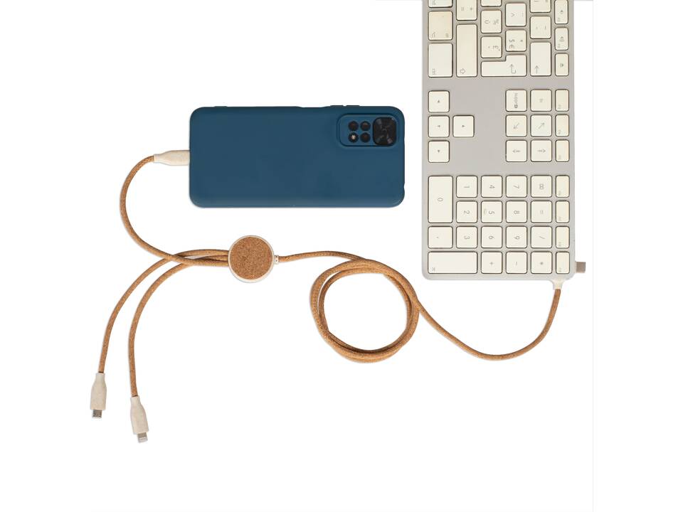 Câble de charge multi-embouts 3