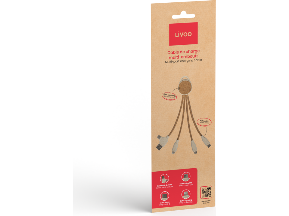 Câble de charge multi-embouts 3