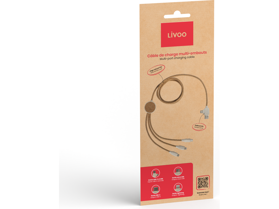 Câble de charge multi-embouts 2