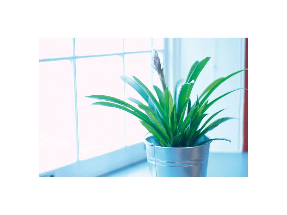 Petit jardinier Gardena 3