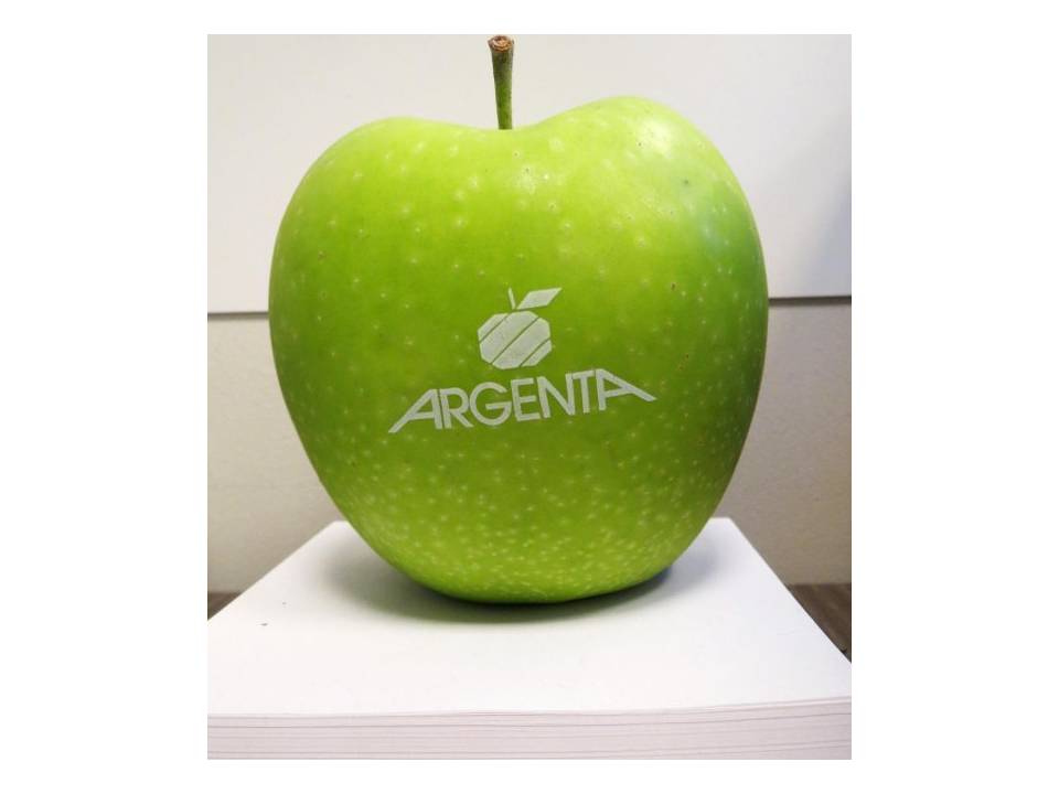 Pommes avec logo 29