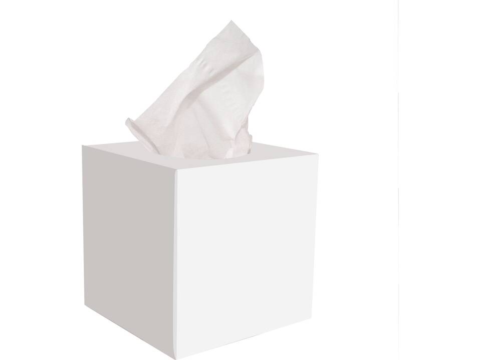 Tissue box 100 2