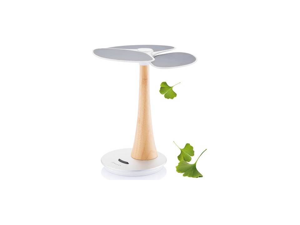 Ginkgo solar arbre 1