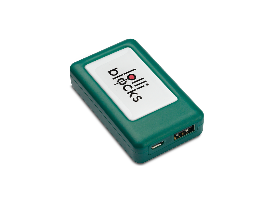 Accumulateur Lolli Block travel battery 1