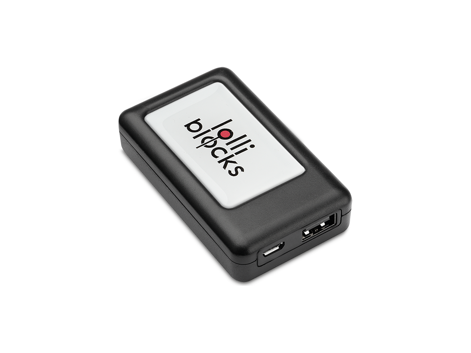 Accumulateur Lolli Block travel battery 8