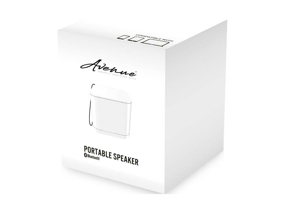 Haut-parleur Bluetooth Nano 11