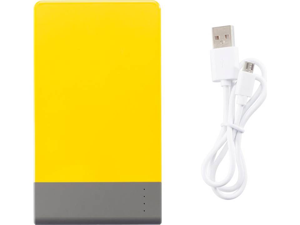 Chargeur batterie externe plat 13