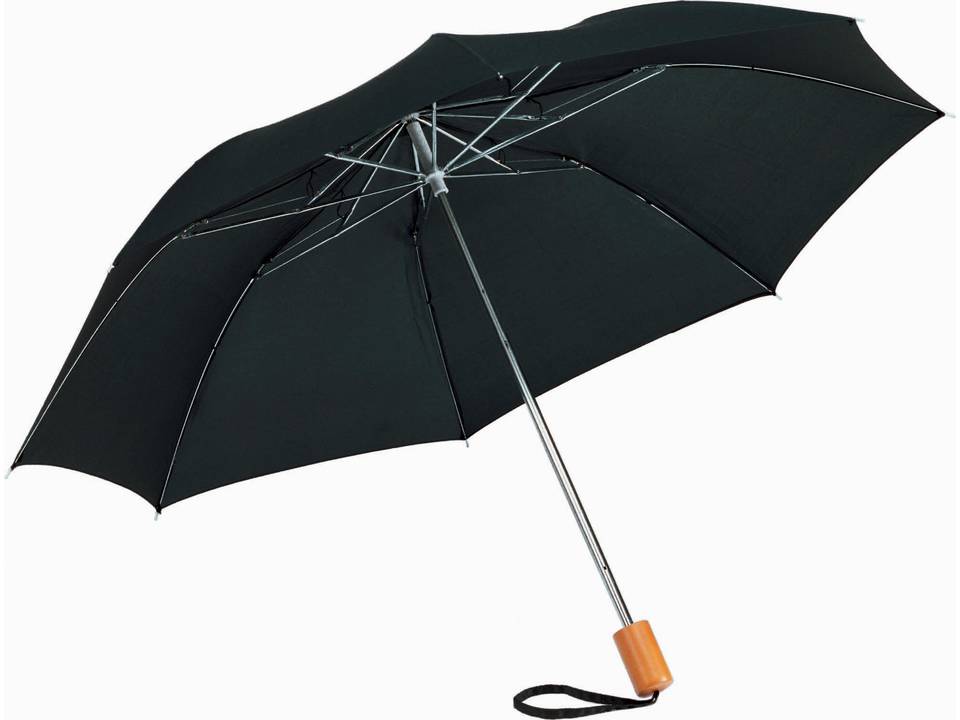 Parapluie Classique pliant 2 sections 4