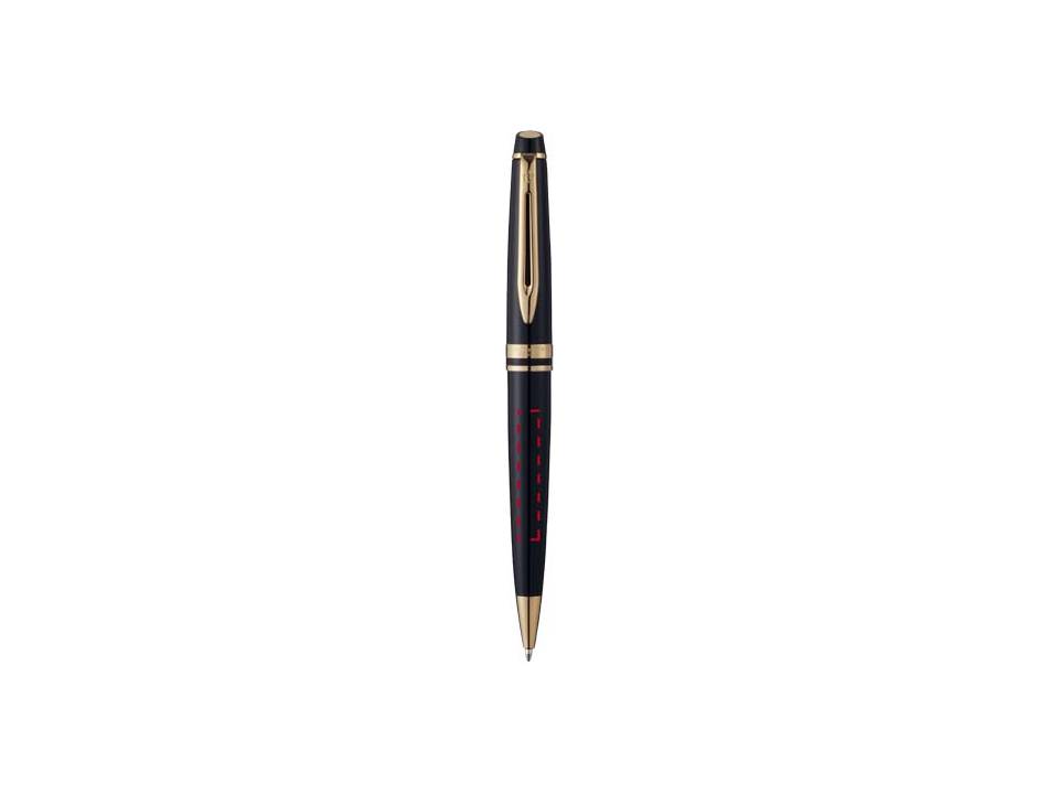 Waterman Expert 13