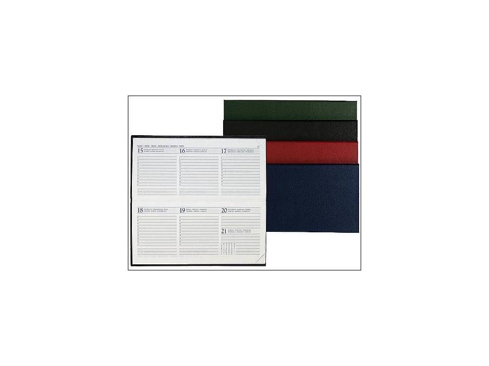 Agenda de poche Pointer Luma 1