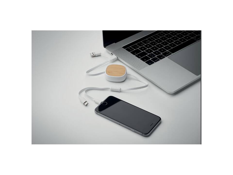 Câble de charge USB rétractable 3