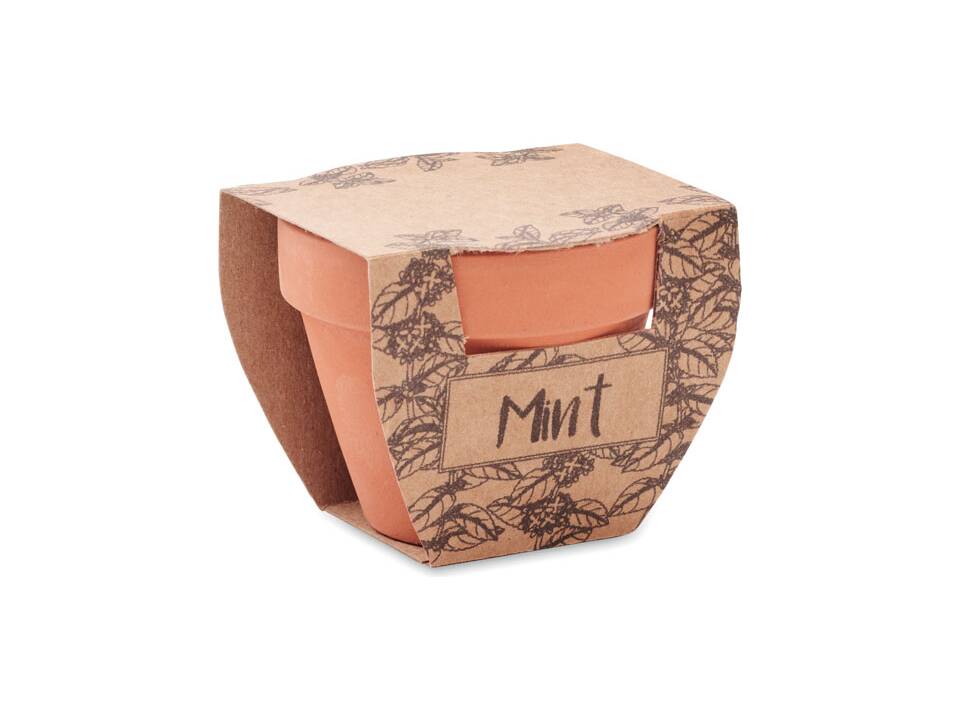 Pot avec graines de menthe 2