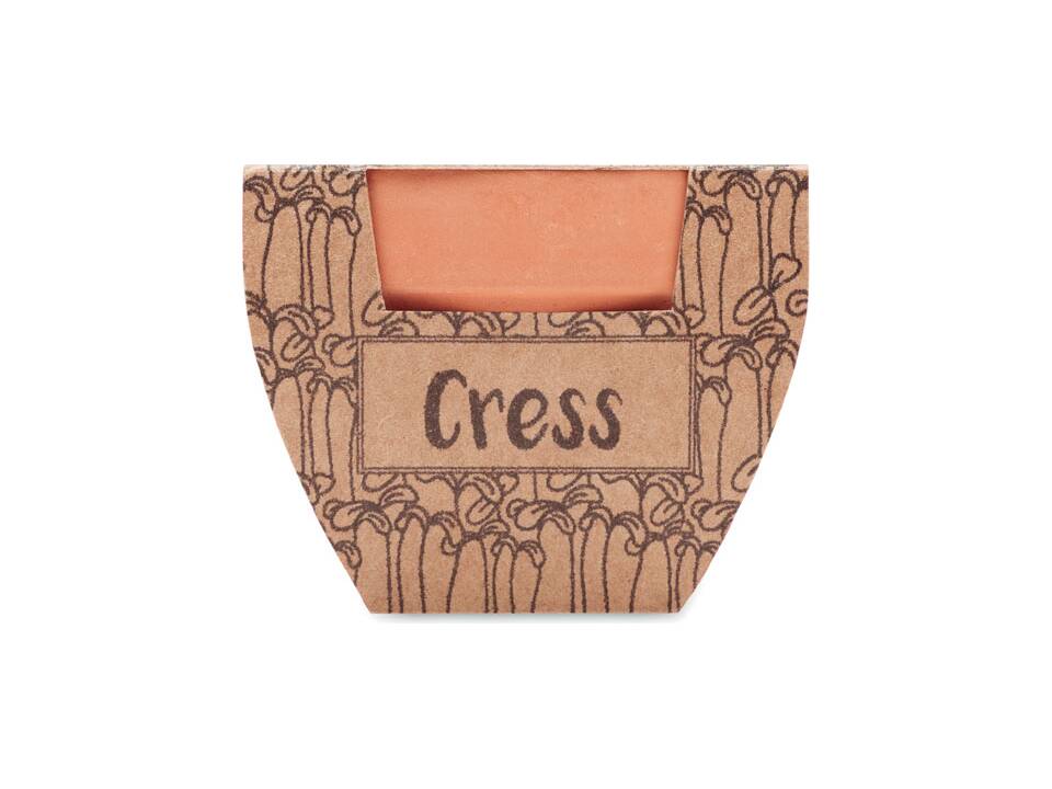 Pot avec graines de cresson 1