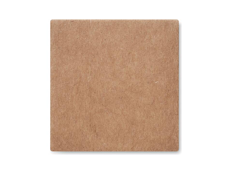 Kit de graines de menthe 5