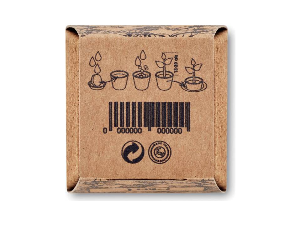 Kit de graines de menthe 1