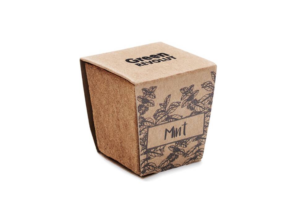Kit de graines de menthe 6