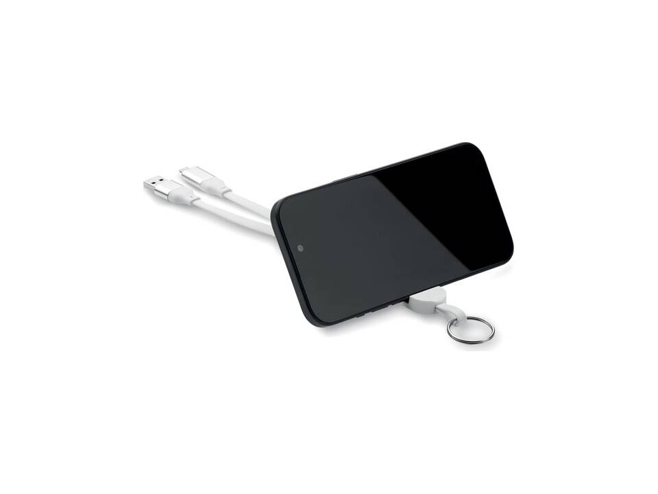 Porte-clés câble 60W en ABS 8