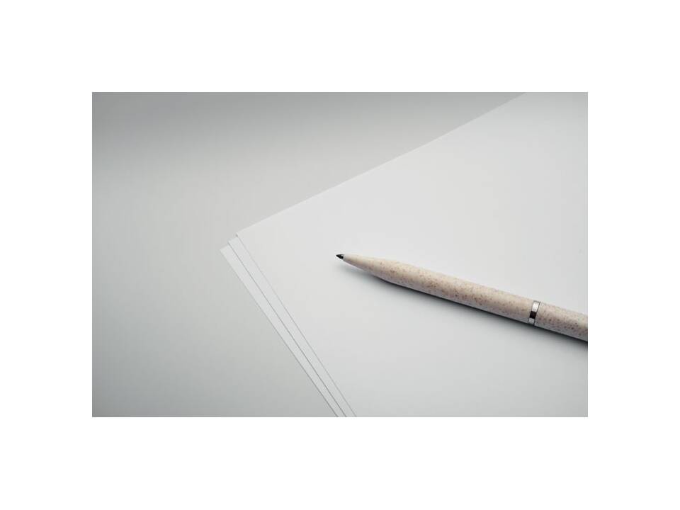 Set de stylo paille de blé/ABS 9