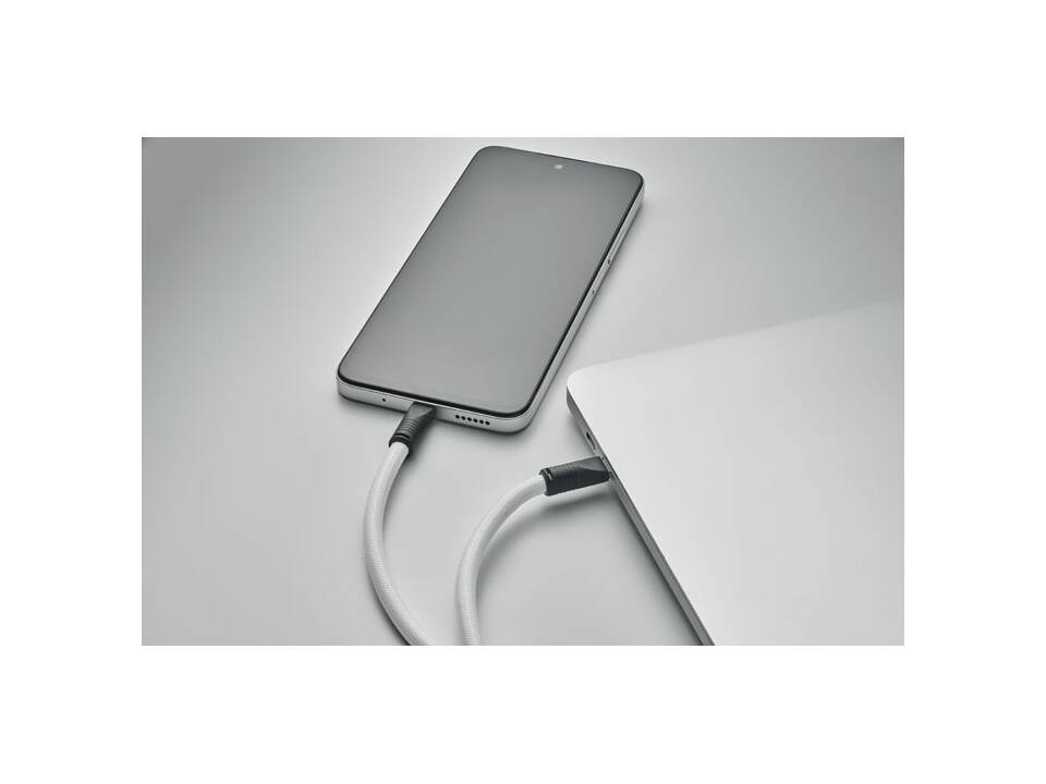 Cordon de charge 60W 12