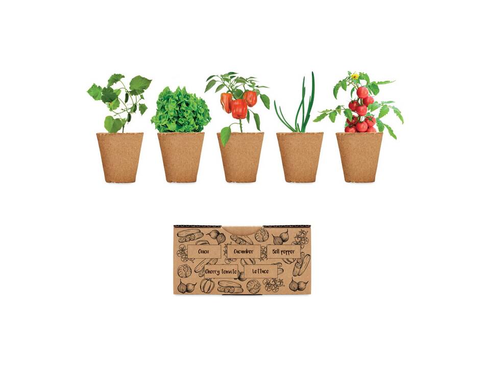 Kit de culture de salade 3