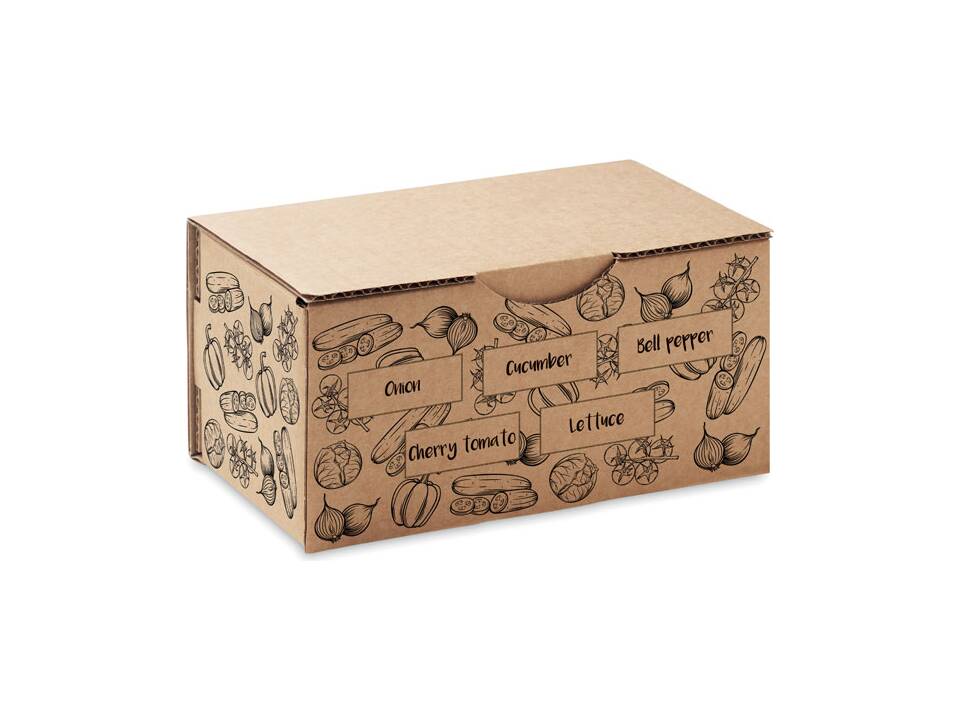 Kit de culture de salade 2