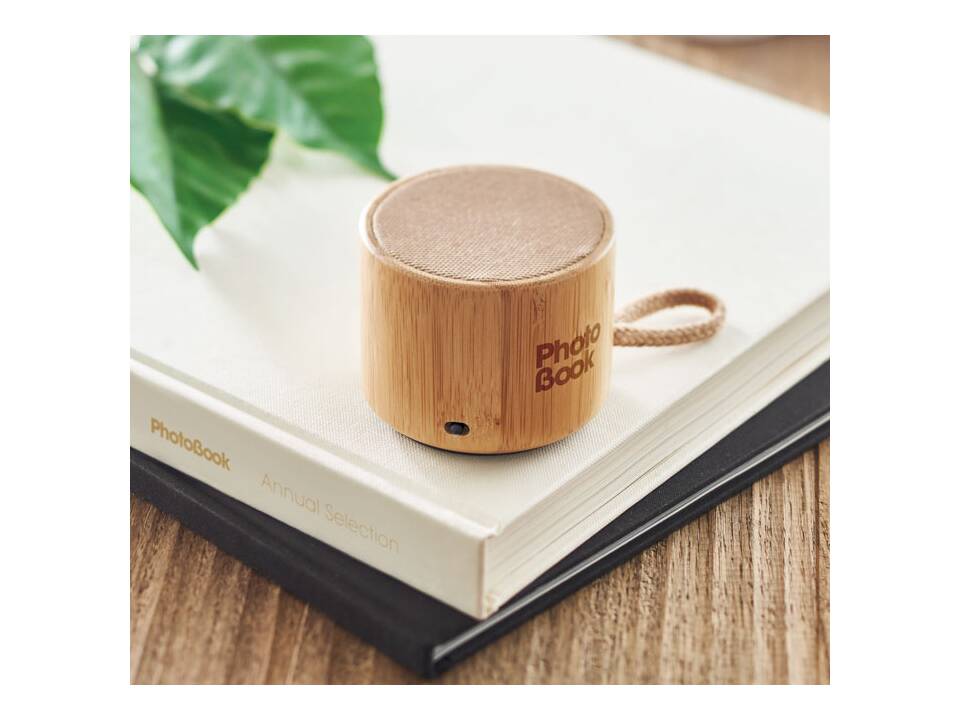Haut-parleur sans fil en bambou 1
