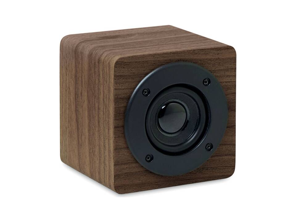 Haut-parleur Bluetooth 1