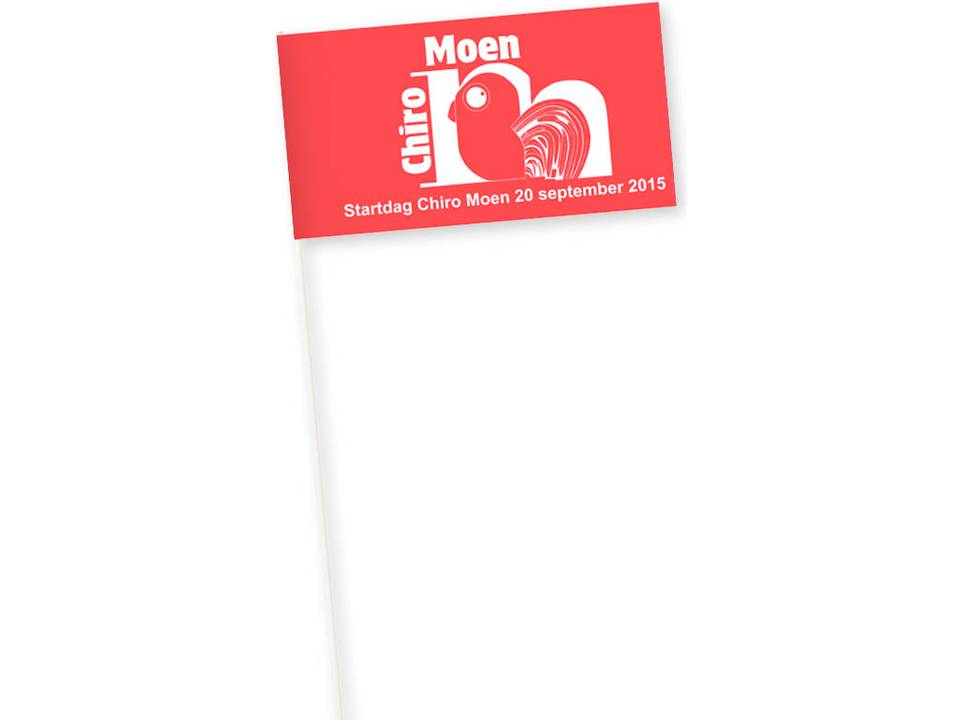 Drapeaux en papier Promo 14