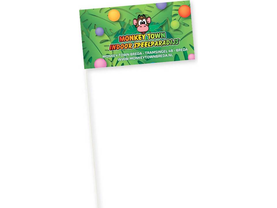 Drapeaux en papier Promo 15