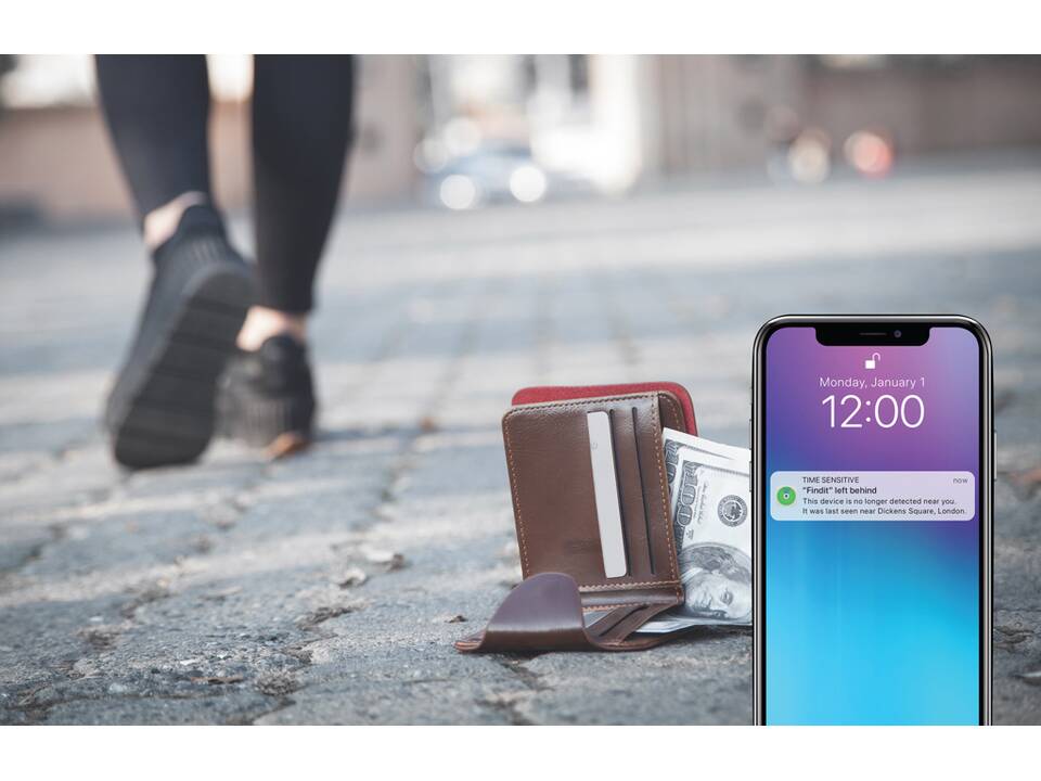 Carte de géolocalisation rechargeable en ABS RCS Findit 17