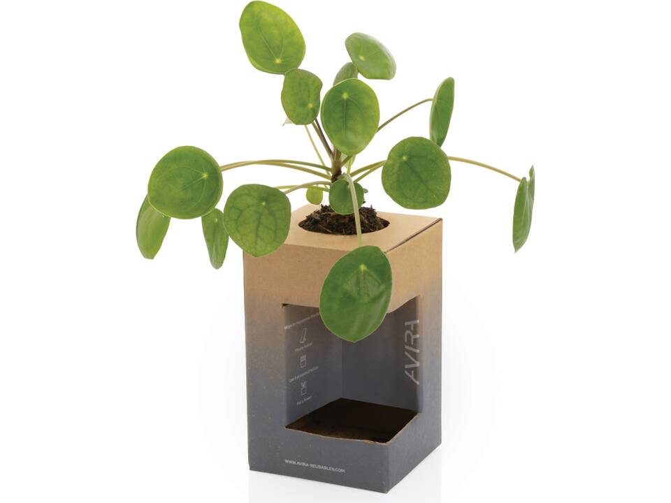 Mug 300ml en acier recyclé RCS Avira Alya 69