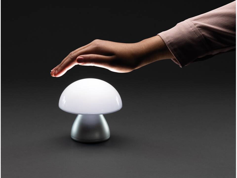 Lampe de table rechargeable par USB en plastique RCS Luming 16