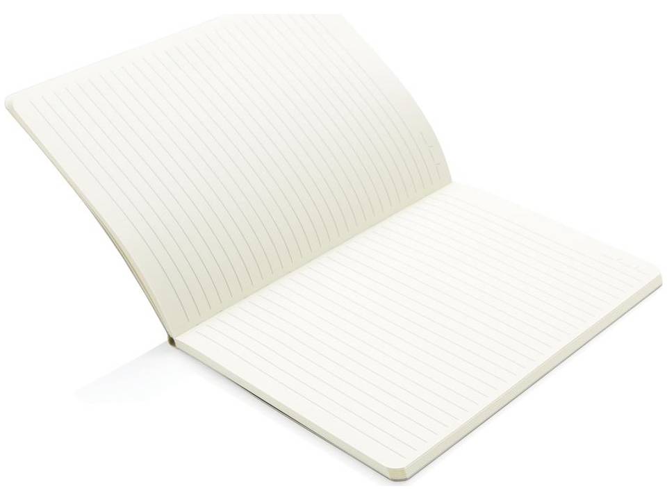 Carnet de notes A5 Deluxe métallique 11