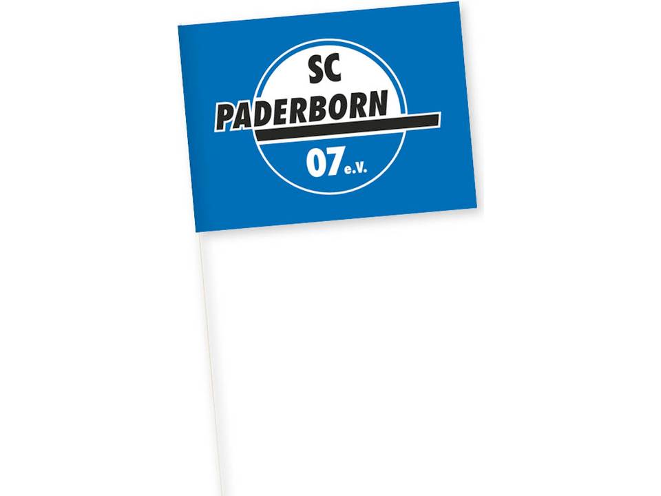 Papier signale 31 cm. 5