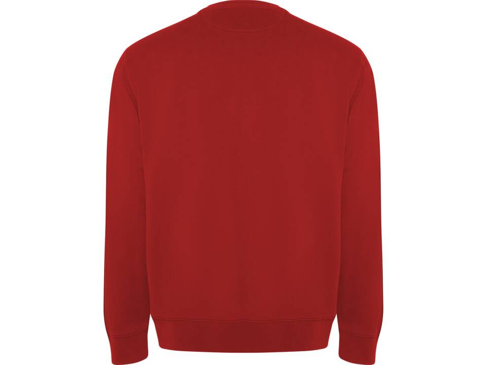 Pull ras du cou Batian unisexe 14