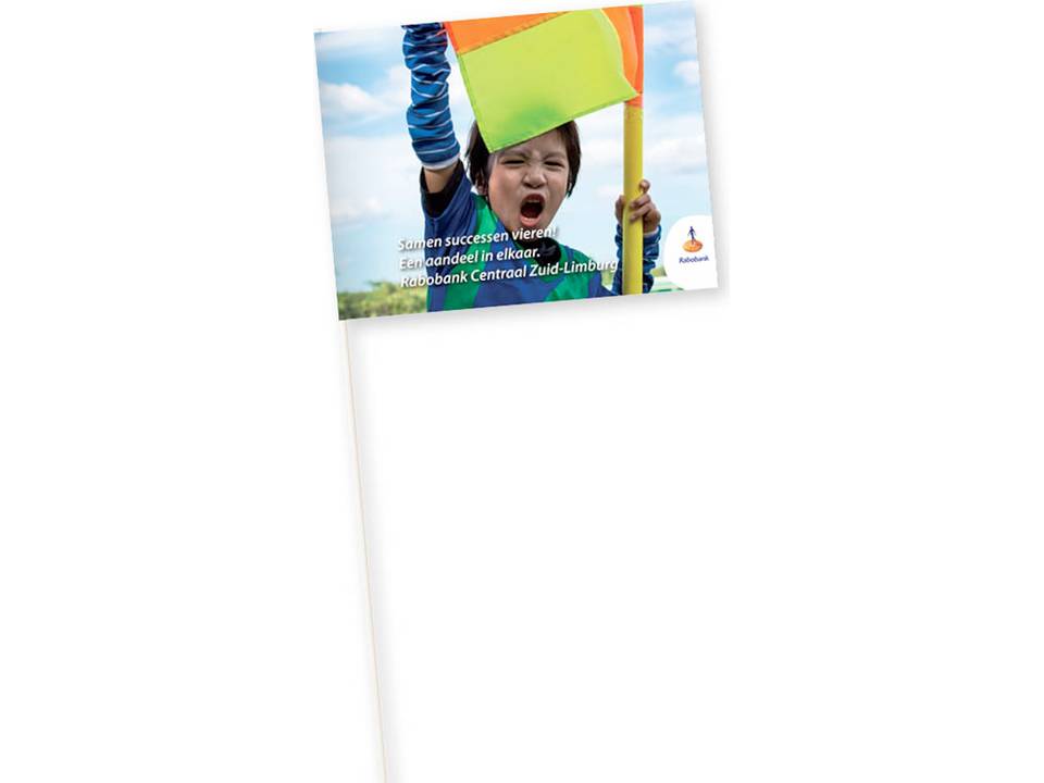 Drapeaux en papier 14