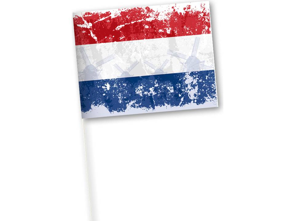 Drapeau supporters 16