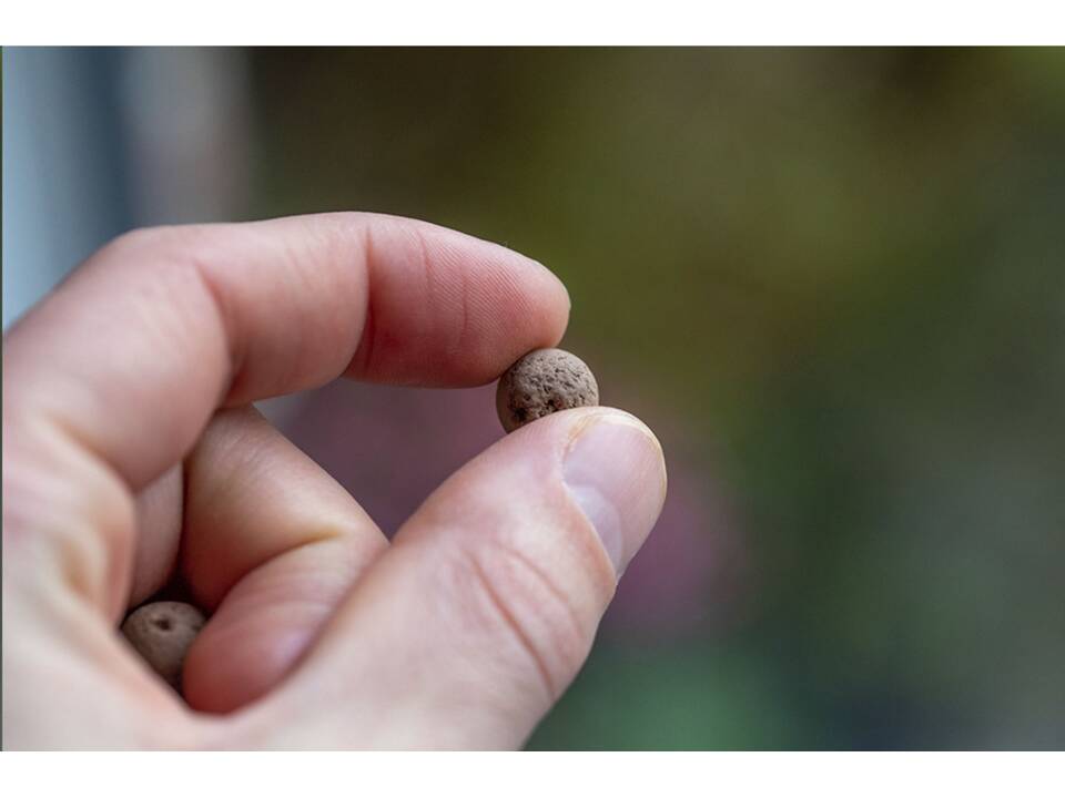 Green Balls mini-écosystème 8