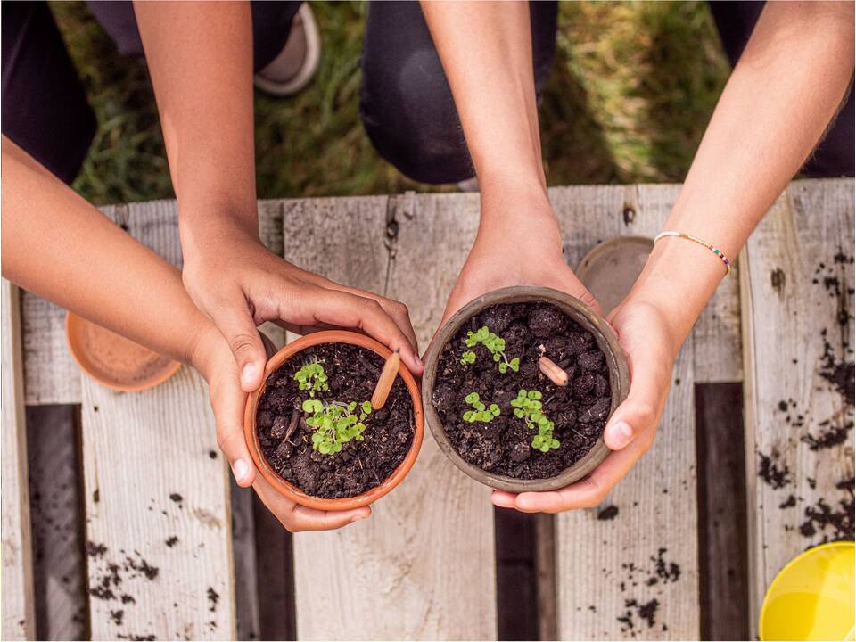 Crayon Sproutworld – Faites germer vos idées en quelque chose de beau 10