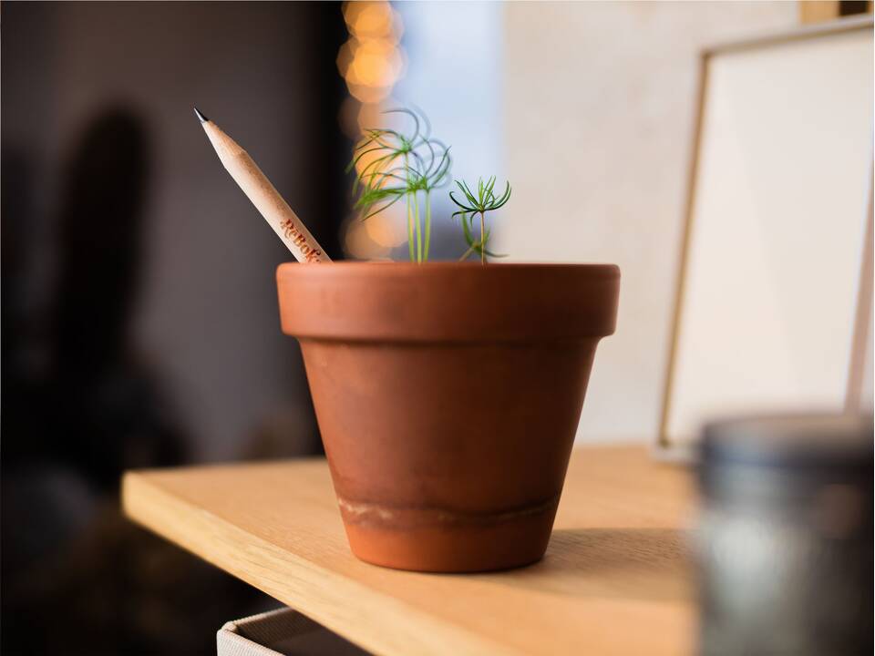 Crayon Sproutworld – Faites germer vos idées en quelque chose de beau 3