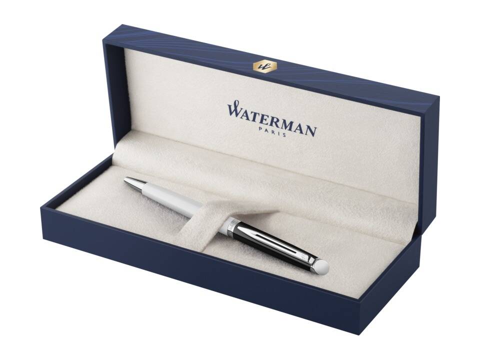 Stylo roller Waterman Hemisphere avec habillage palladium 10