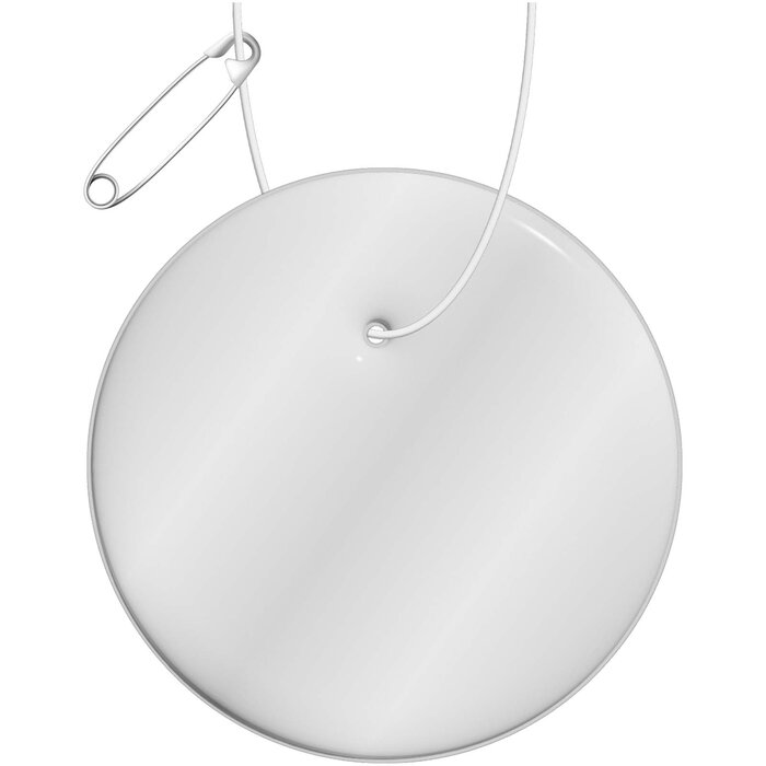 1PR13301