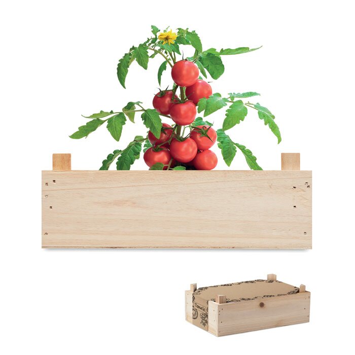 Tomaten kweekset met houten kratje