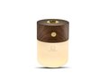 Gingko diffuser luxe avec lampe 6