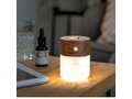 Gingko diffuser luxe avec lampe 10