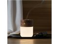 Gingko diffuser luxe avec lampe 9